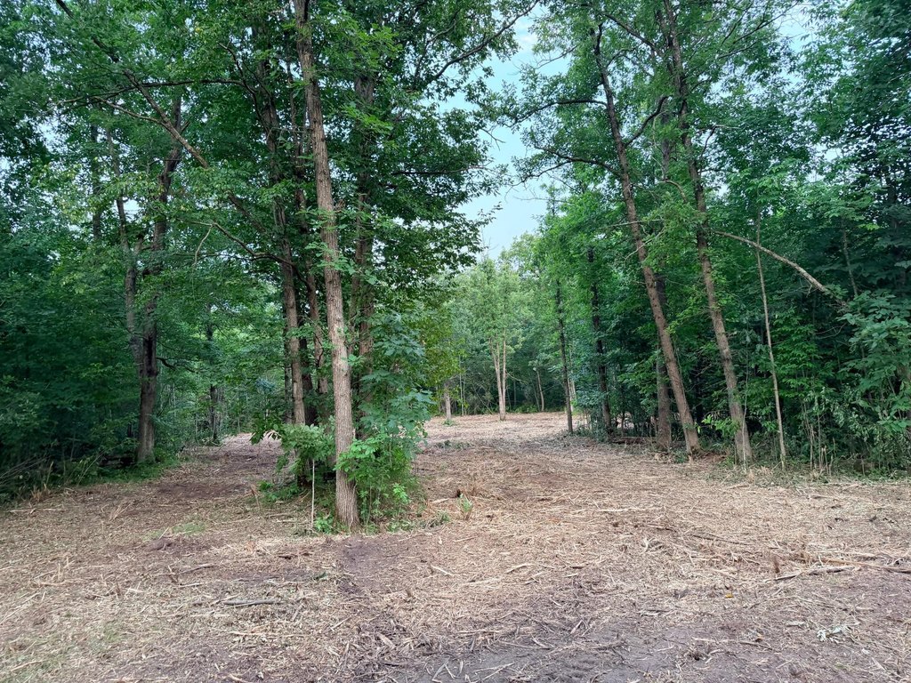 Picture 16