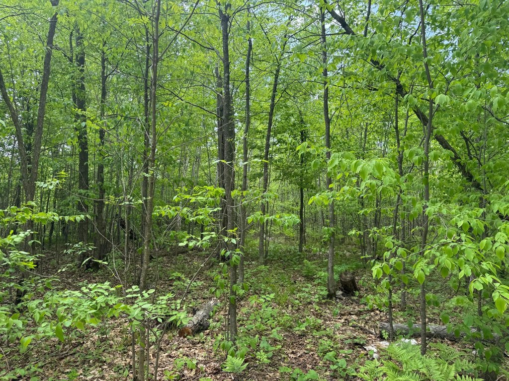 Picture 23