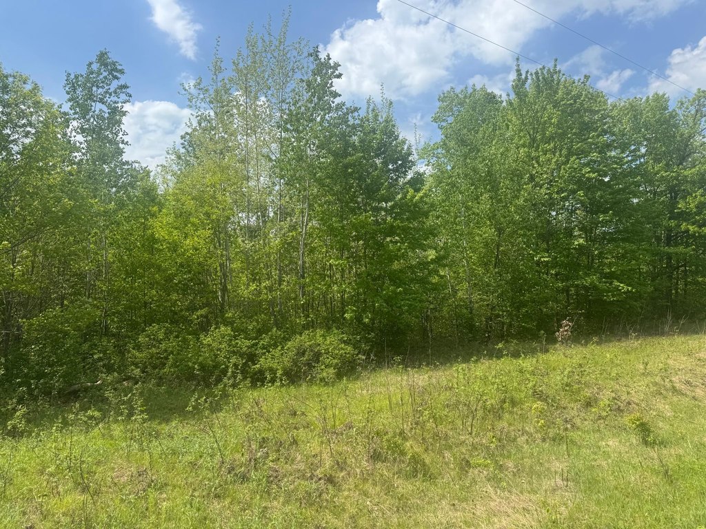 Picture 30