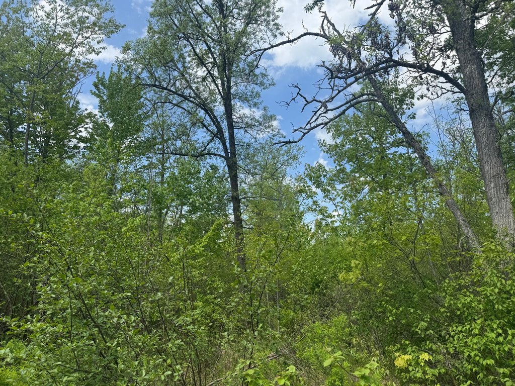 Picture 28