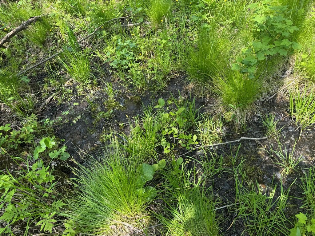 Picture 25