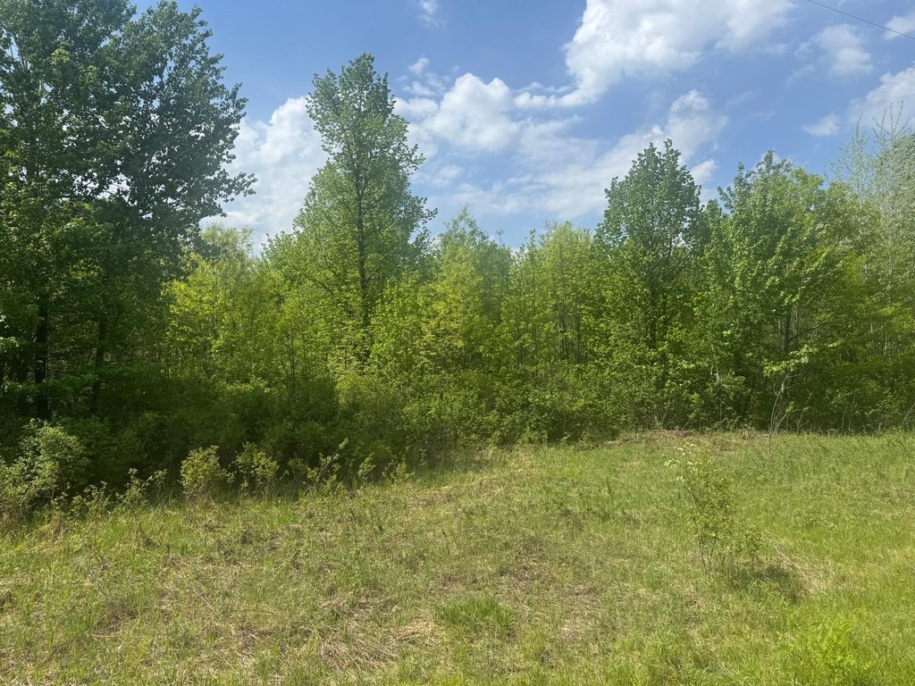 Picture 31