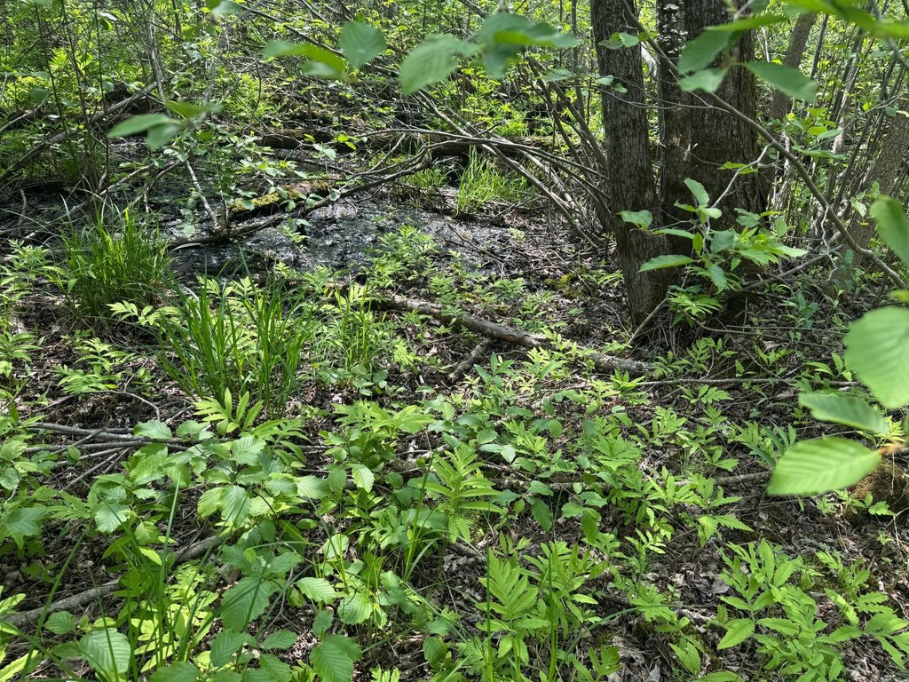 Picture 24