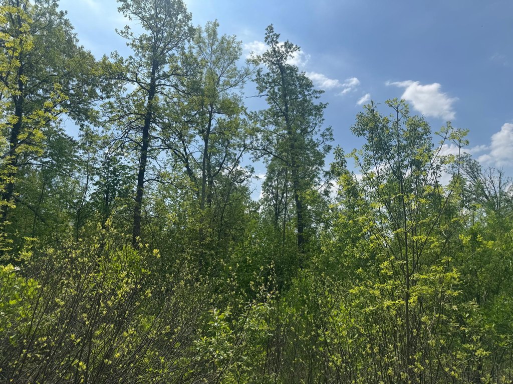 Picture 29