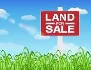 Residential Land Near Williamstown Lake