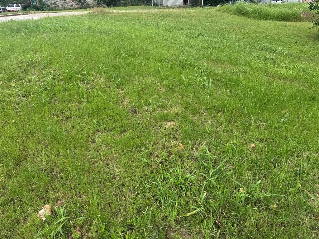 Picture 3