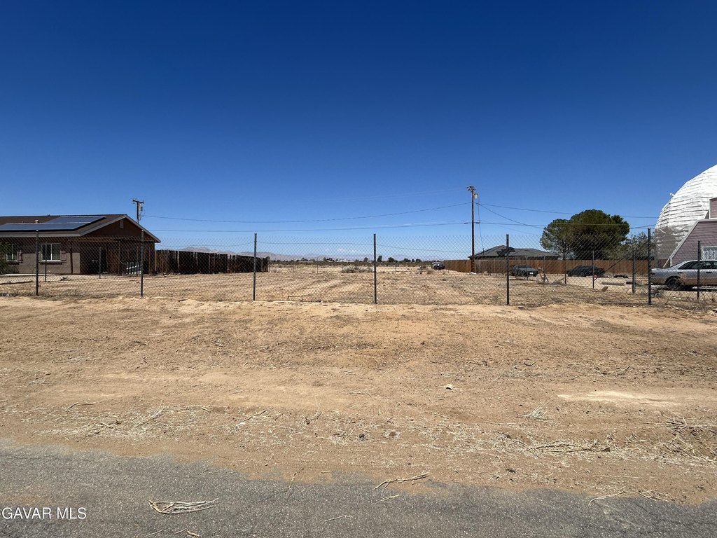 Picture 5