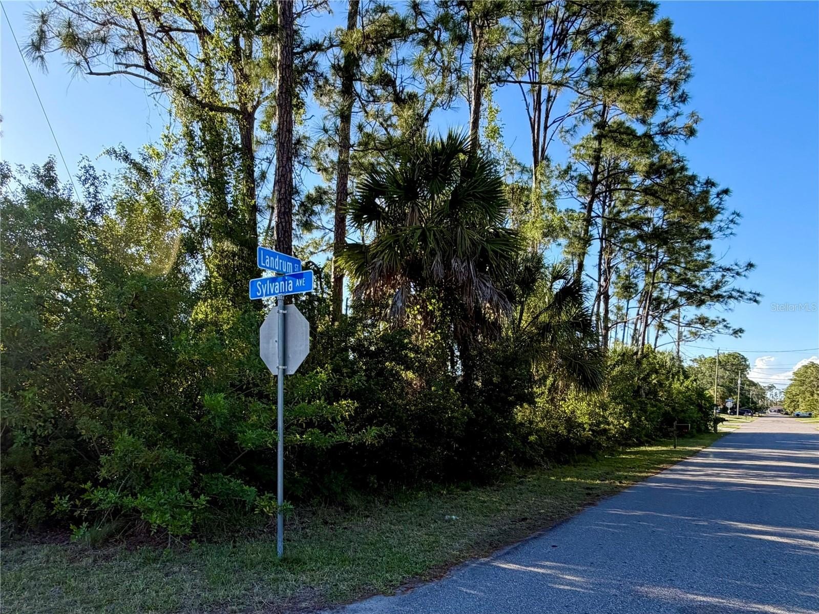 Oversized Lot in Growing Area