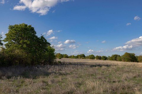 Agricultural Land