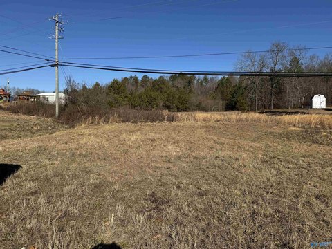 Commercial Lot on Highway 431