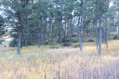 LAND, Frame, Mobile, Modular, Custer, SD