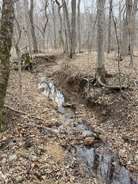 Remote Land with Mature Timber