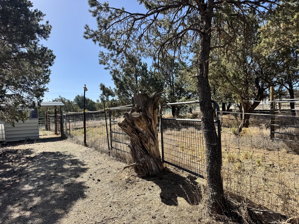 Picture 24