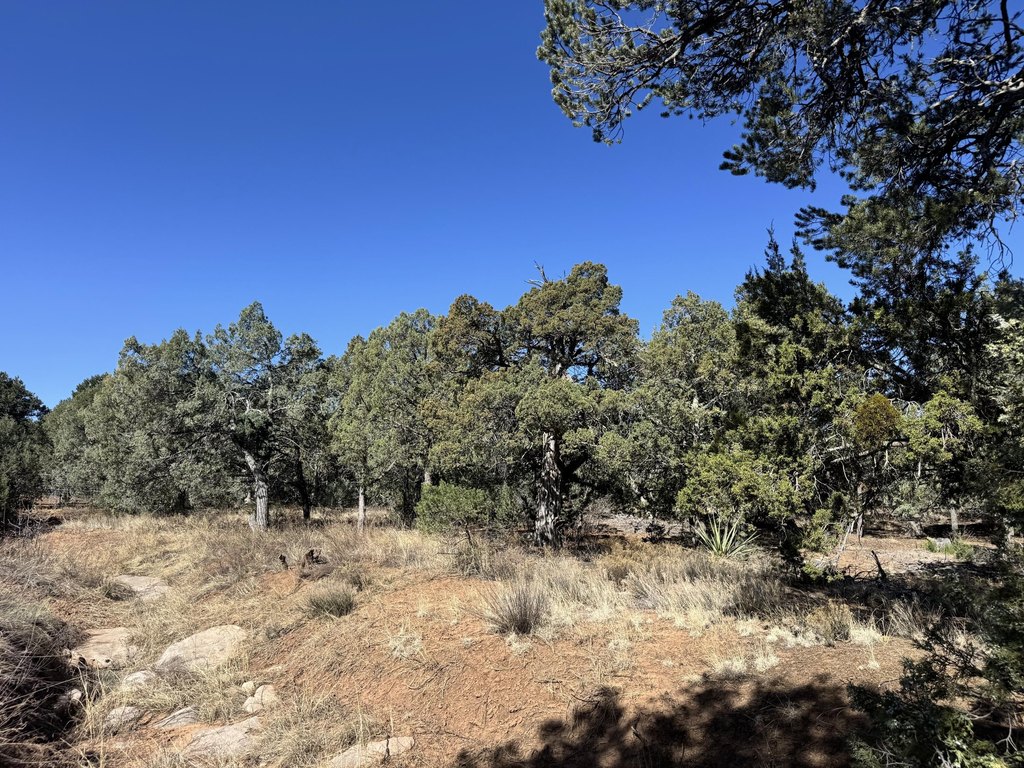 Picture 21