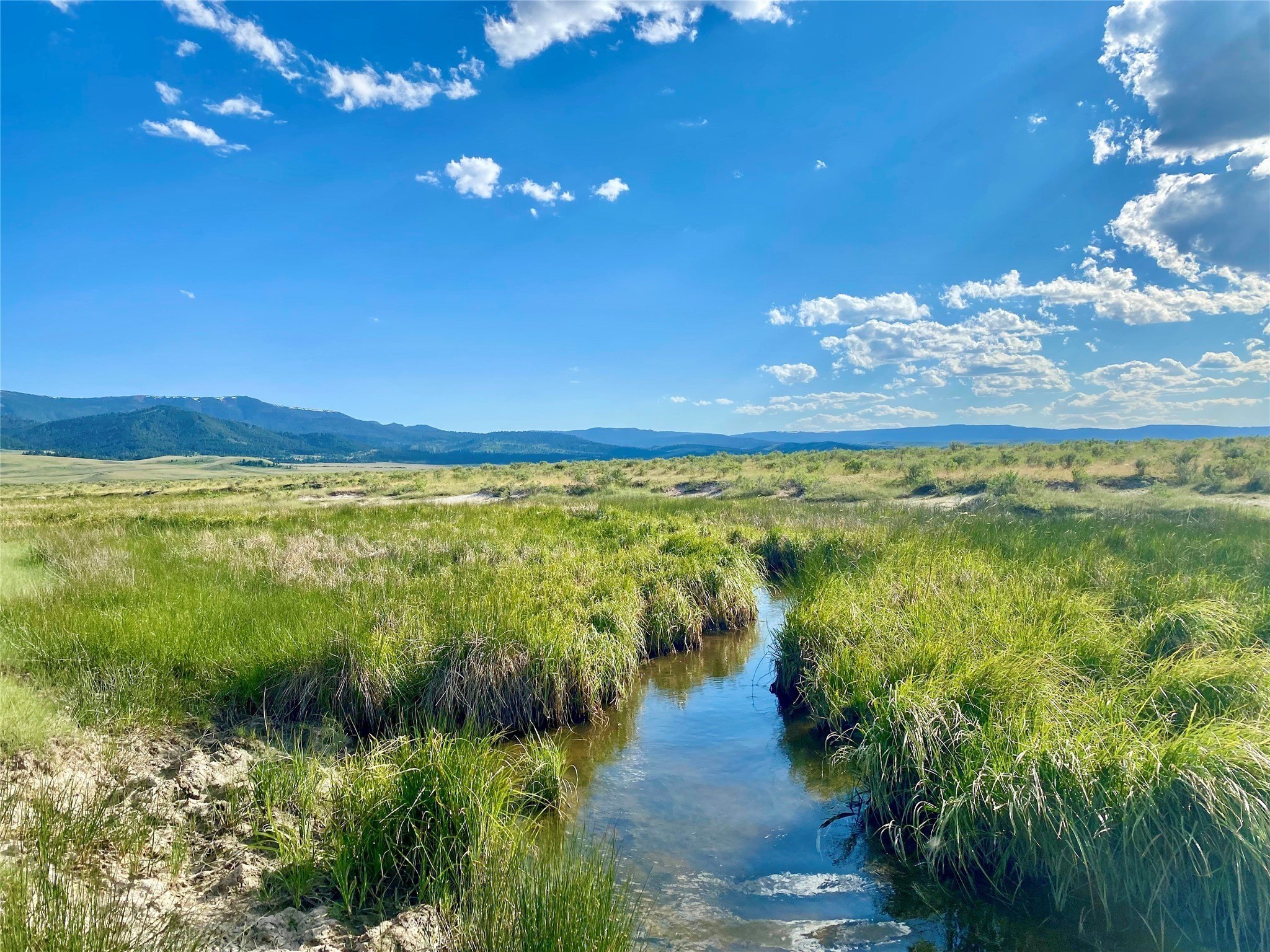 280 Acres Centennial Valley Pasture