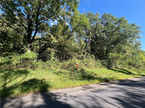 Wooded Acreage in Montour Falls