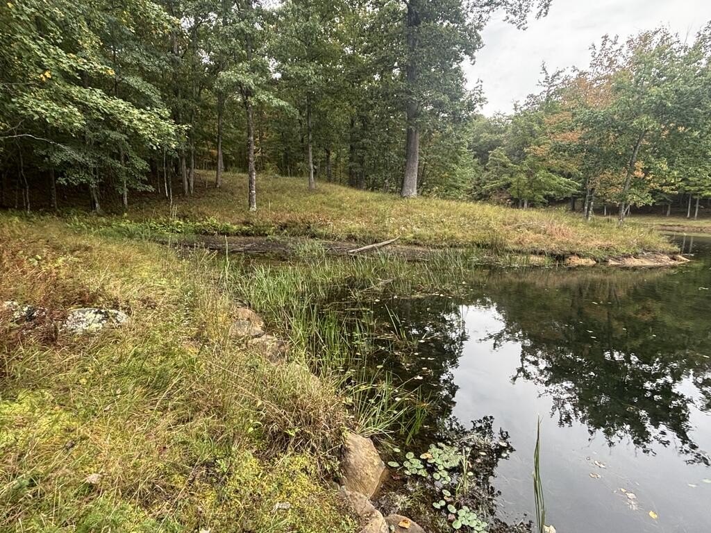 Picture 19