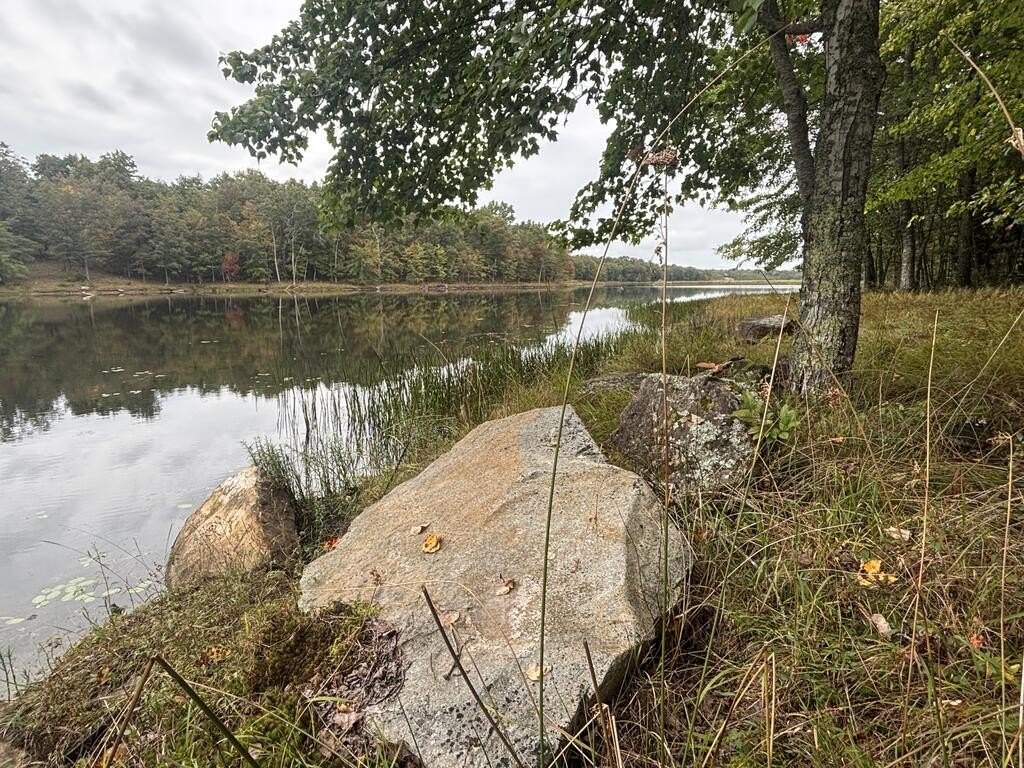 Picture 20