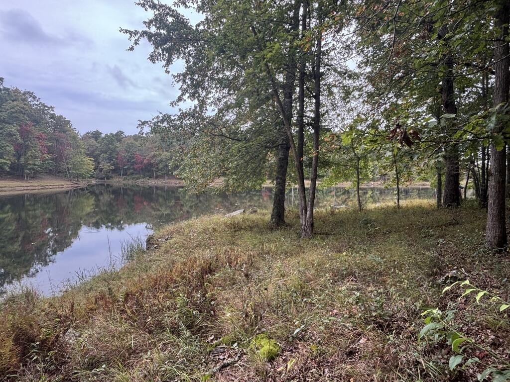 Picture 17