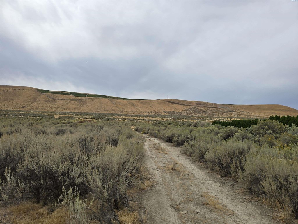 Picture 20