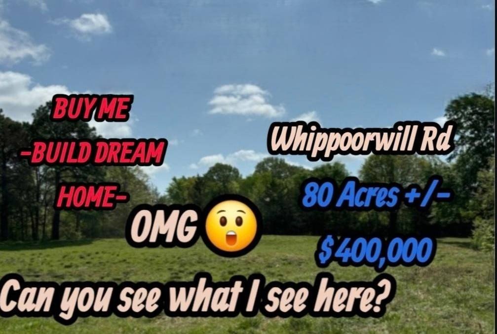 80 Acres Vacant Land