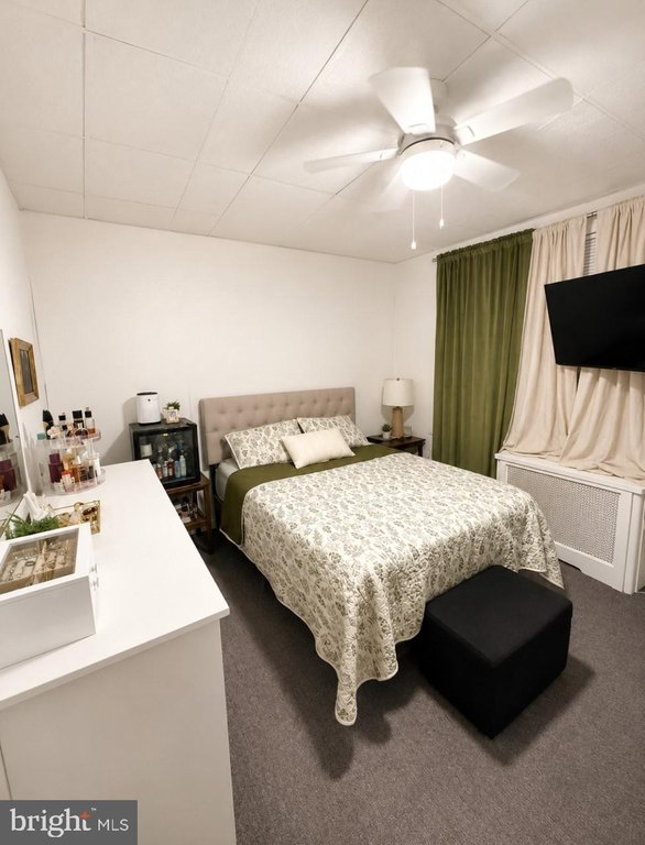 Picture 7