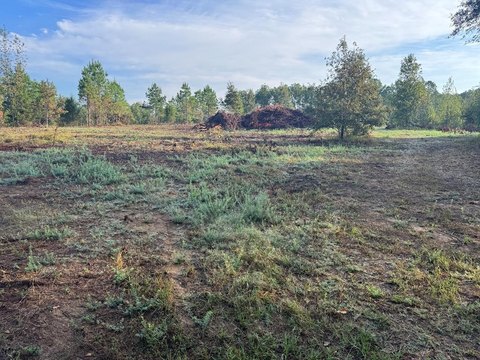 22.5 Acres in Taylor, MS
