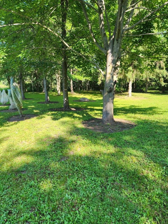 Picture 23