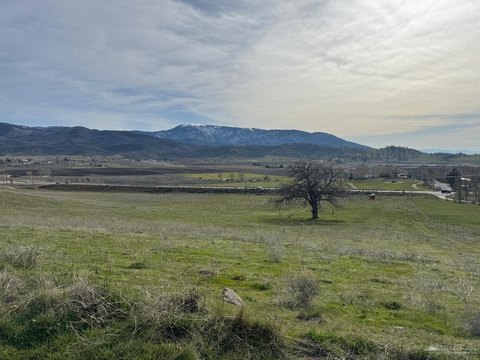 Agricultural Land with Young Vineyard
