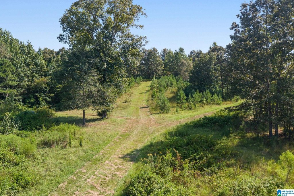 Picture 43