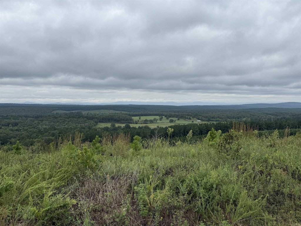 Picture 24