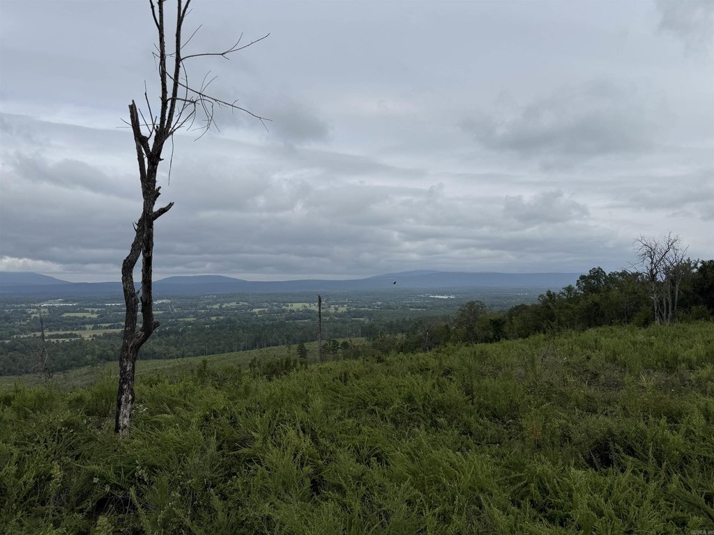 Picture 19