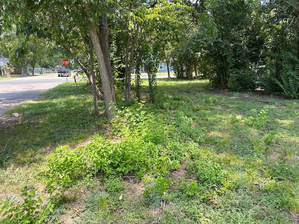 Picture 3