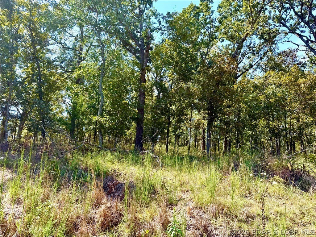 Picture 4