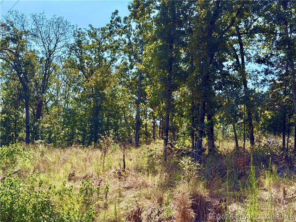 Picture 5