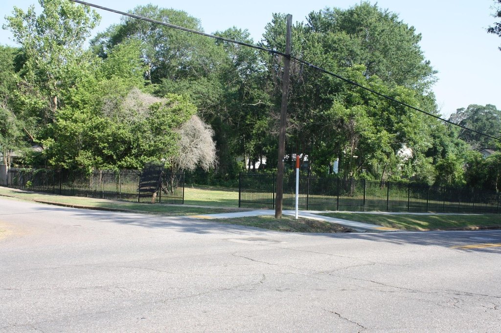 Picture 6
