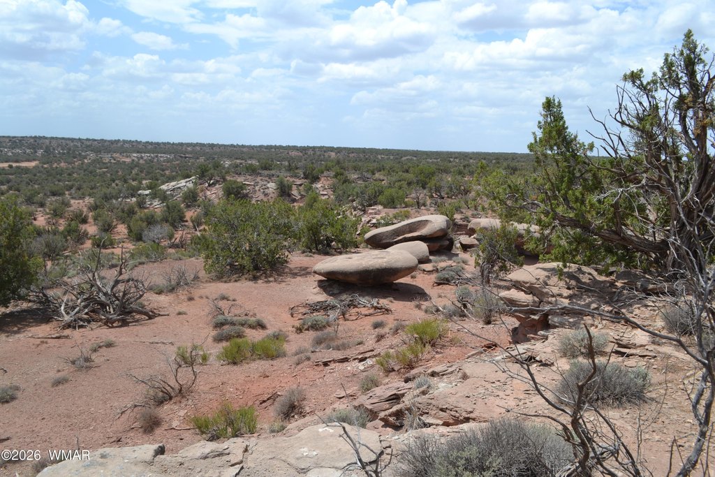 Picture 21