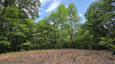 Land in Soaring Eagle Heights