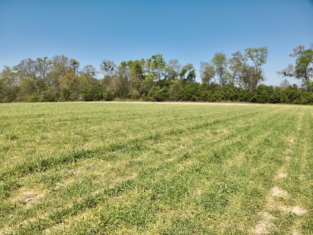 Picture 3