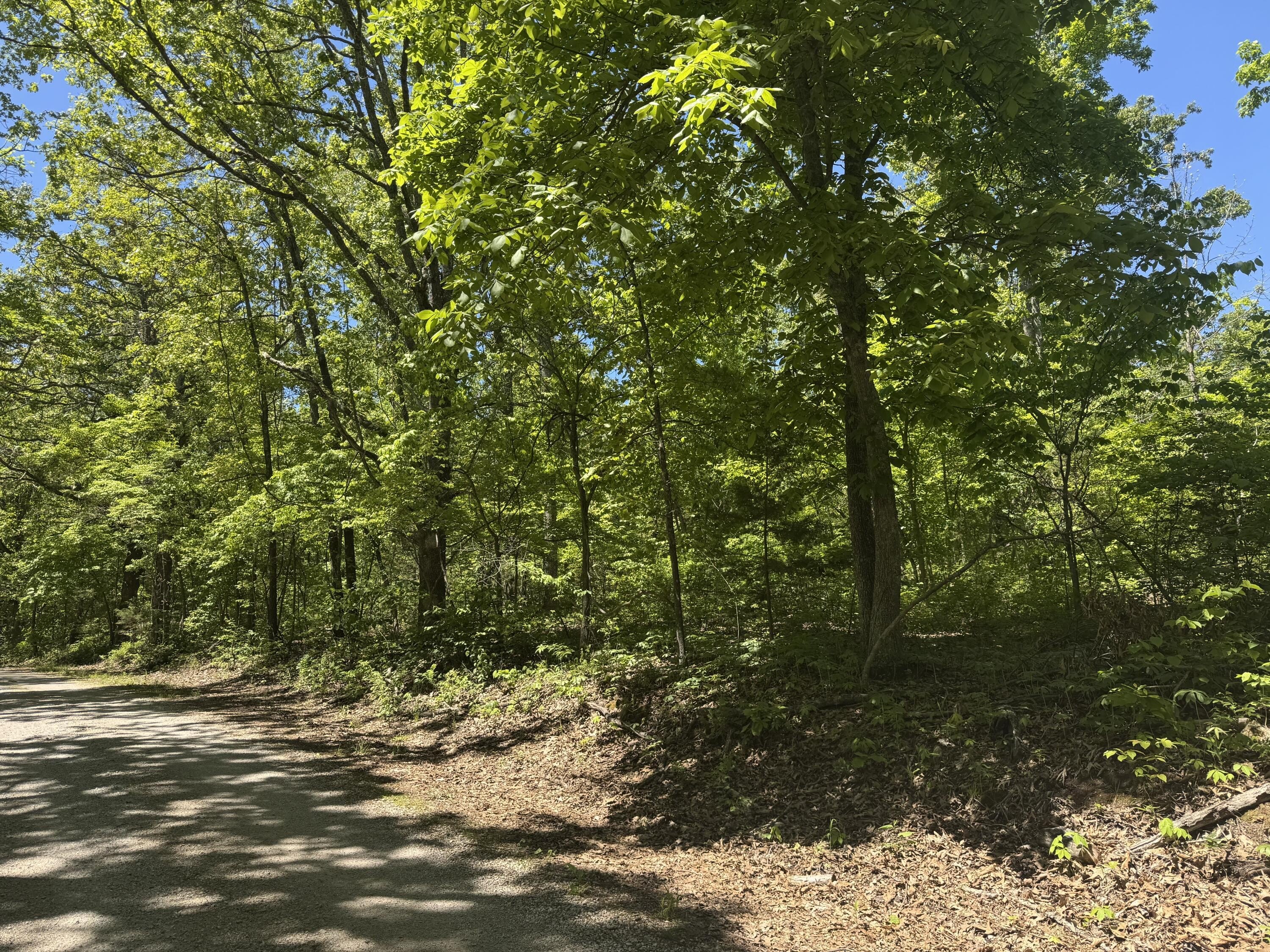 Ozark Land with Natural Spring