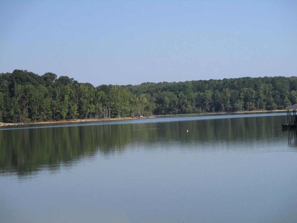 Picture 4