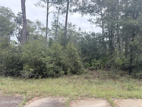 Land, Chipley, FL