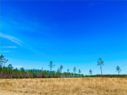 Cleared Hilltop Building Lot