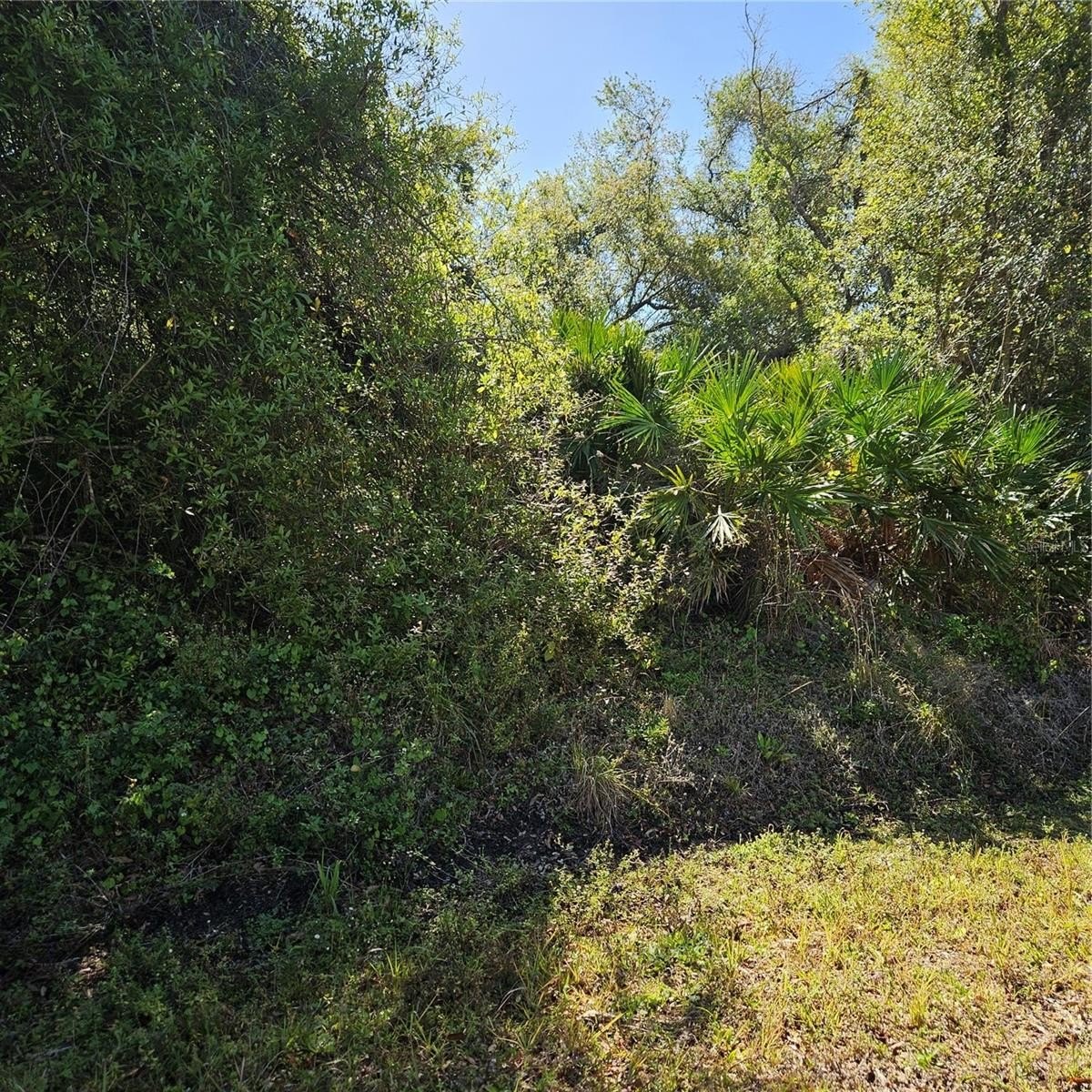 Residential Lot in North Port