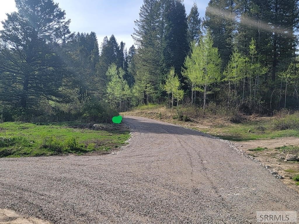Irwin, ID Land For Sale