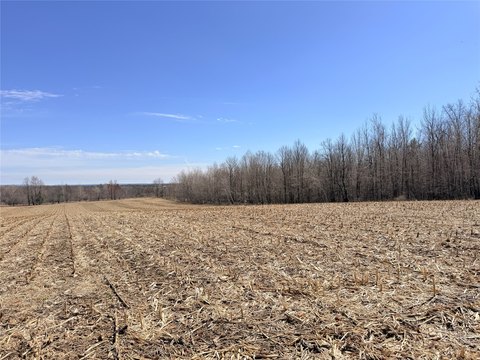Rice Lake Acreage For Sale
