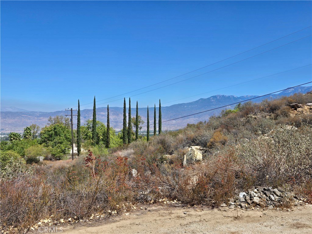 Picture 20
