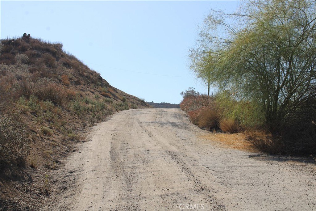 Picture 15