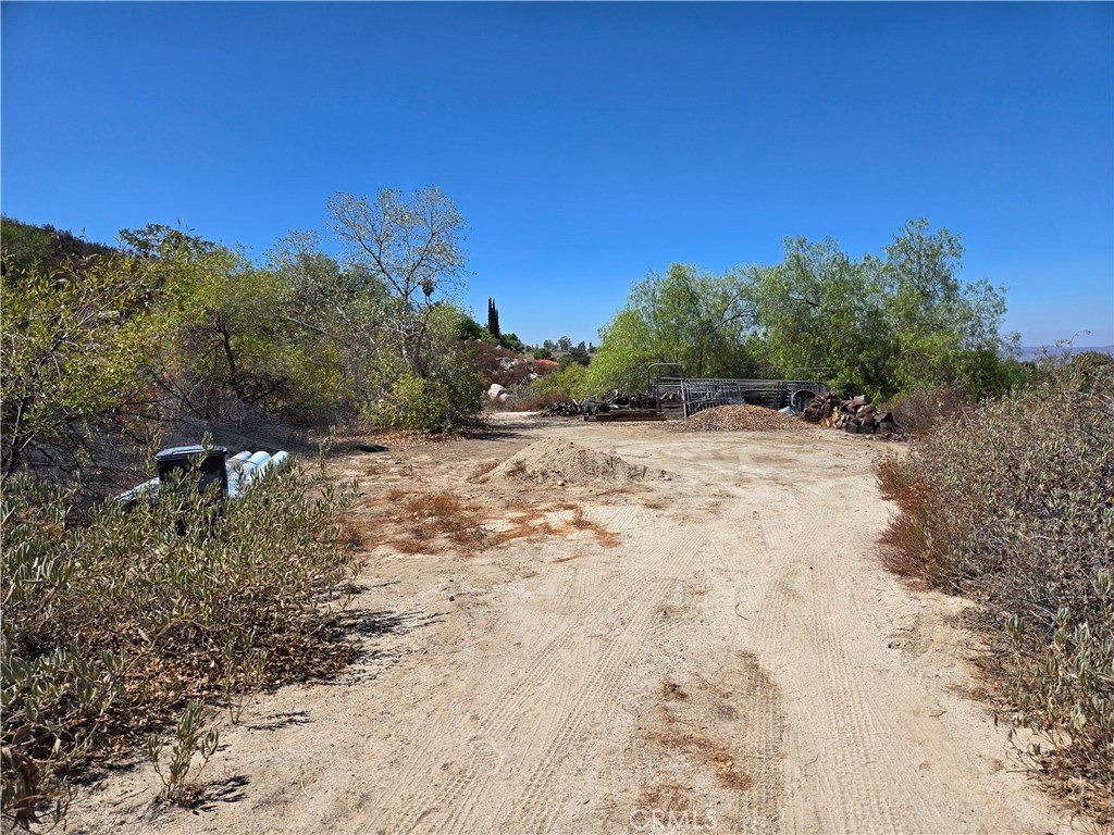 Picture 2