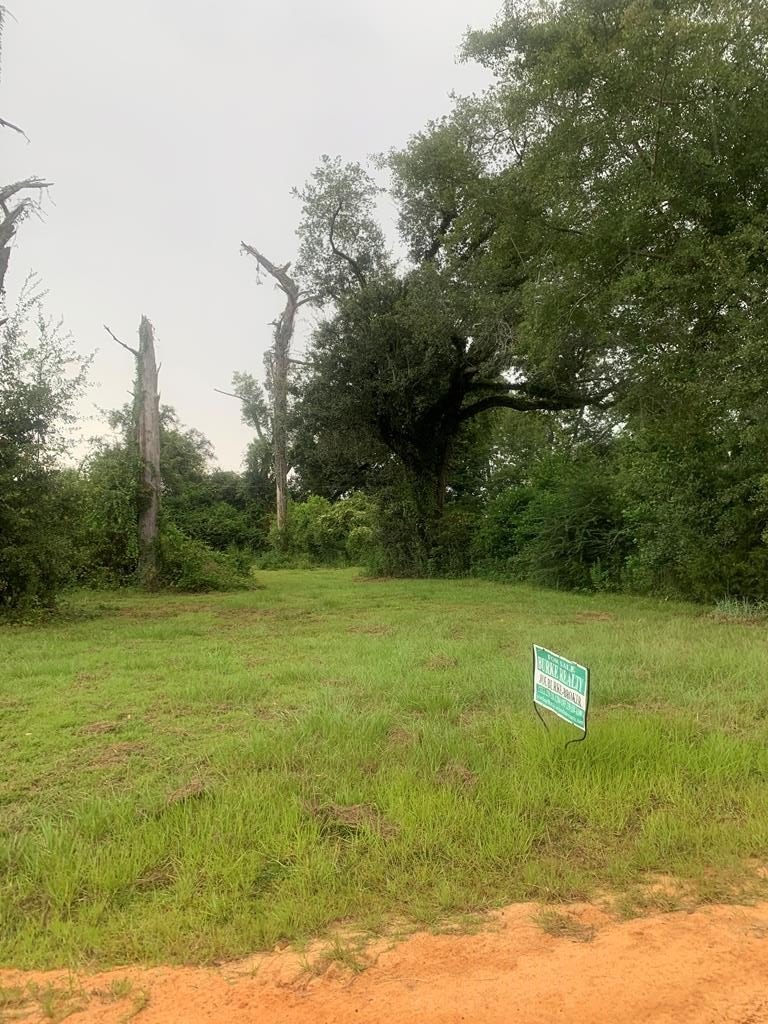 Land Near Seminole State Park